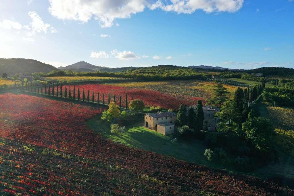 Relais Villa Grazianella | Una Esperienze Acquaviva Szoba fotó