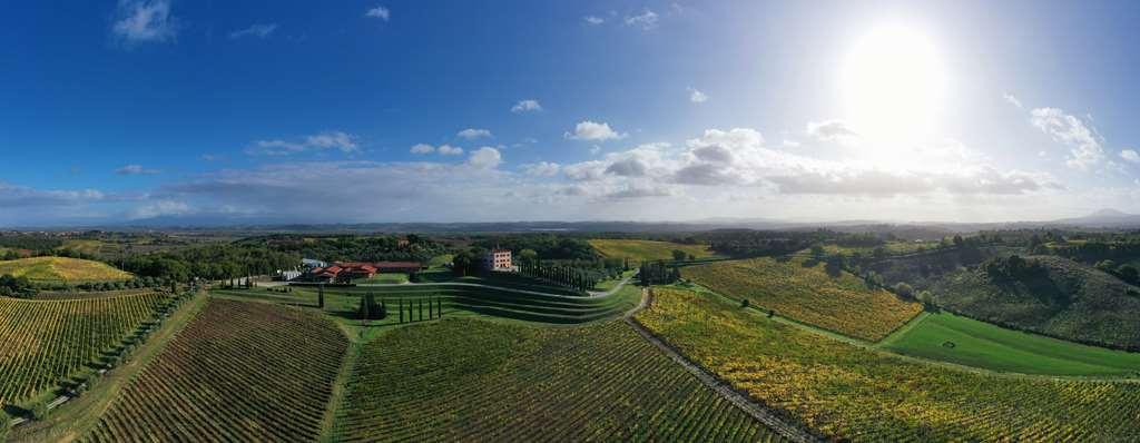 Relais Villa Grazianella | Una Esperienze Acquaviva Szoba fotó