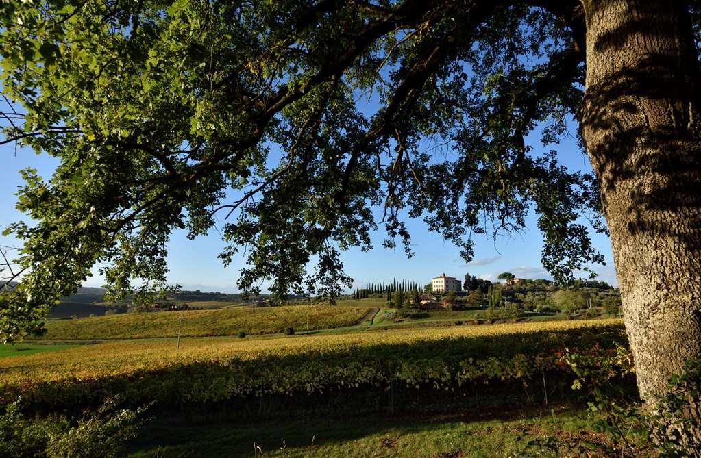 Relais Villa Grazianella | Una Esperienze Acquaviva Szoba fotó